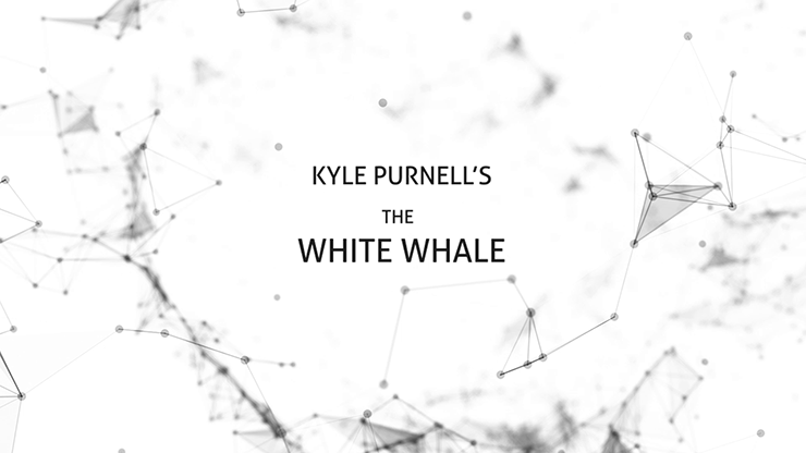 The White Whale
